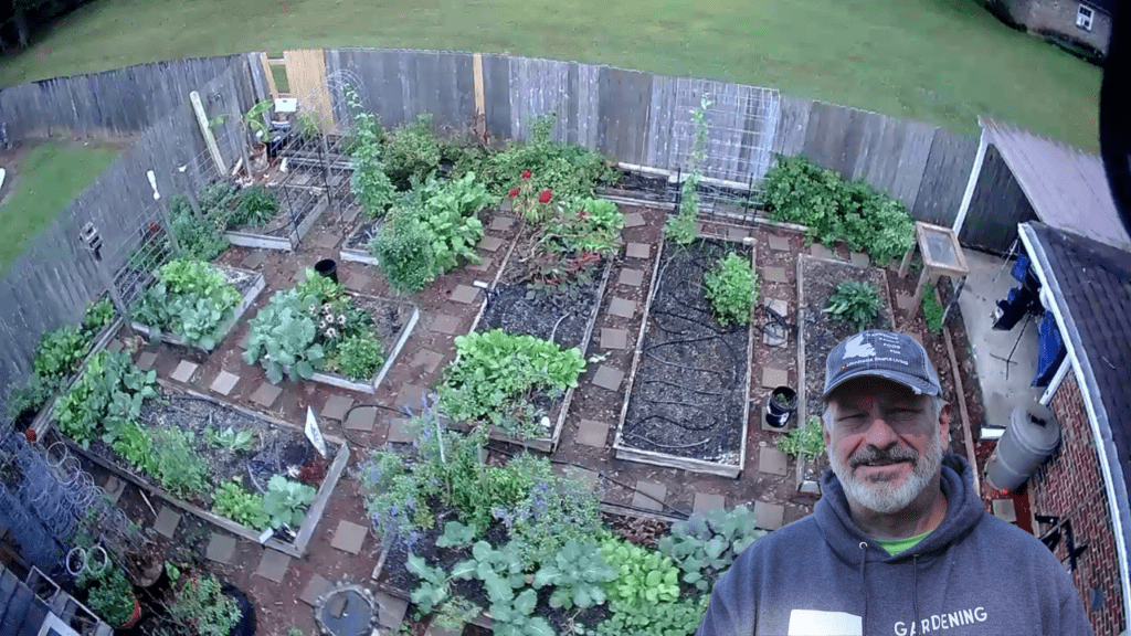 Drone shot of Backyard Organic Raised Bed Garden