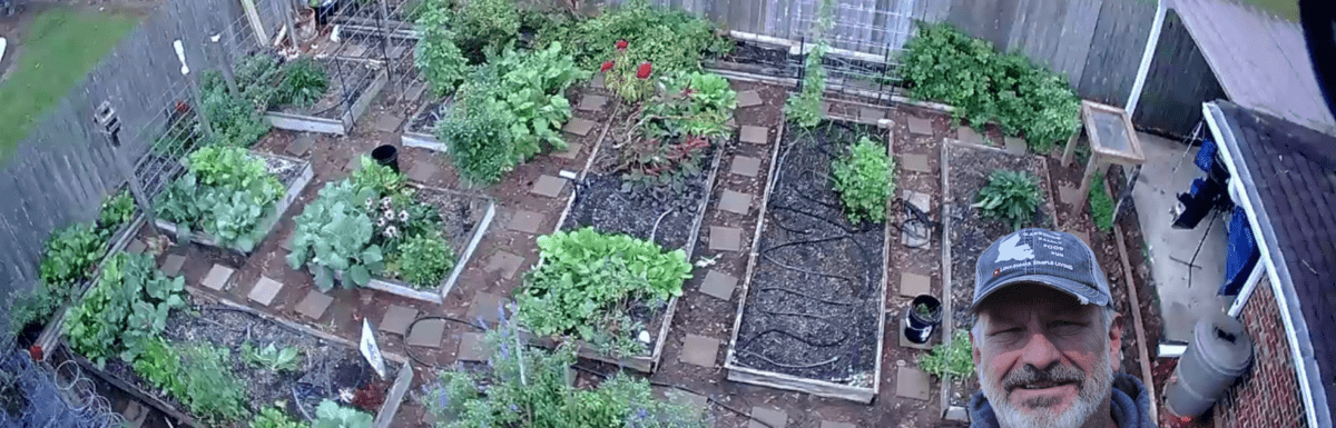 Drone shot of Backyard Organic Raised Bed Garden