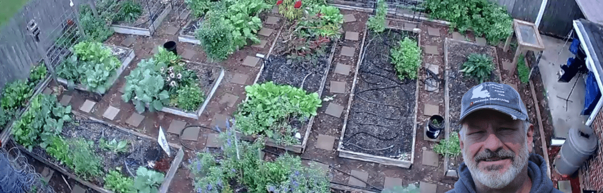 Drone overhead shot of Backyard Organic Raised Bed Garden
