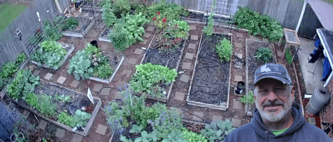 Drone overhead shot of Backyard Organic Raised Bed Garden