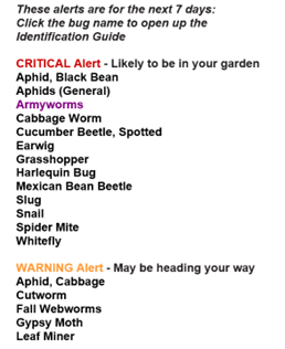 Warning Notifications - The Big Bug Hunt