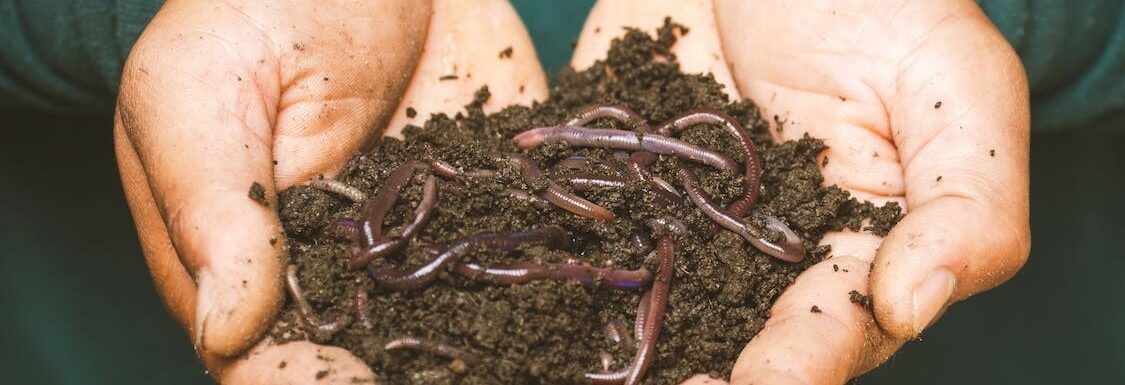 Earthworms