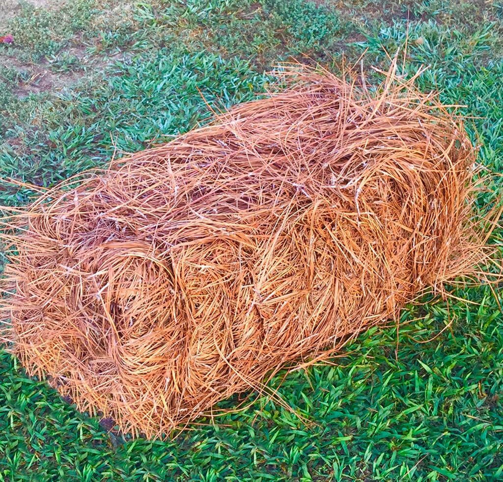 Pine Straw Mulch