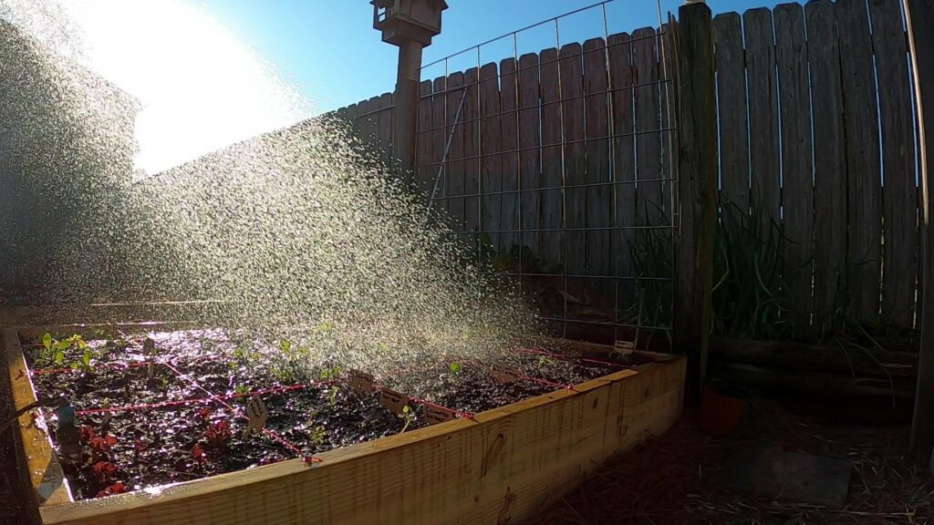 Watering Seeds and Seedlings In