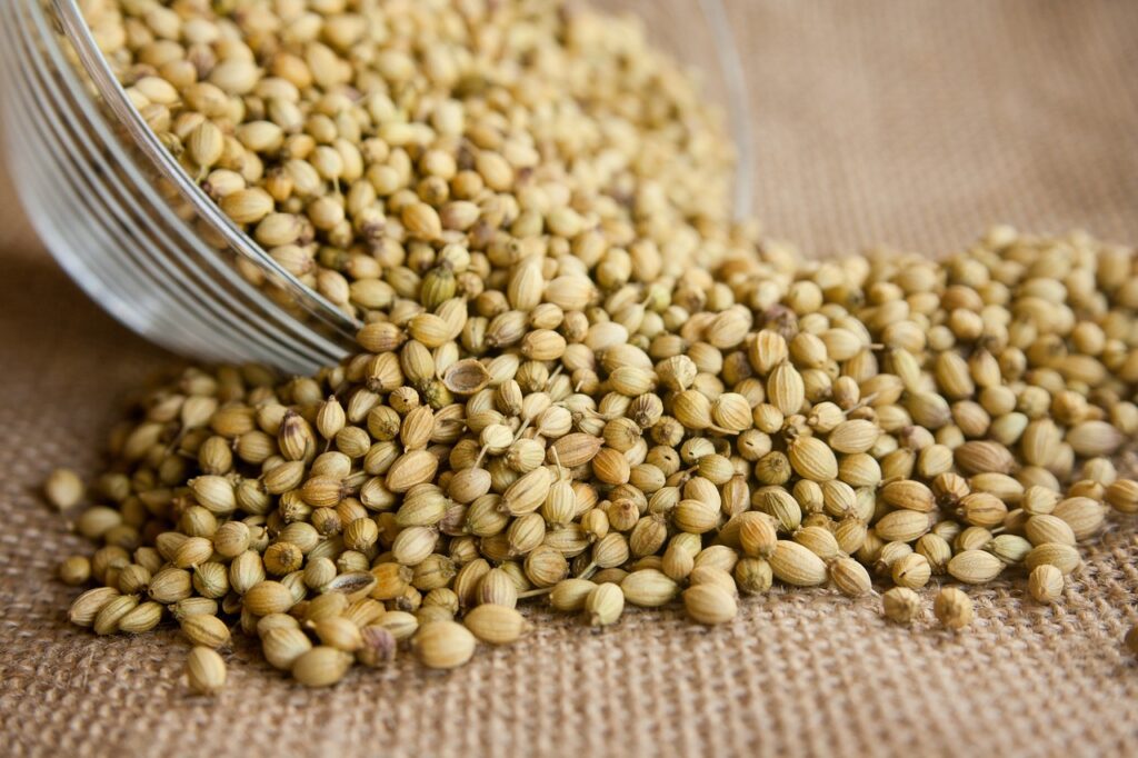 Coriander (Cilantro Seeds)