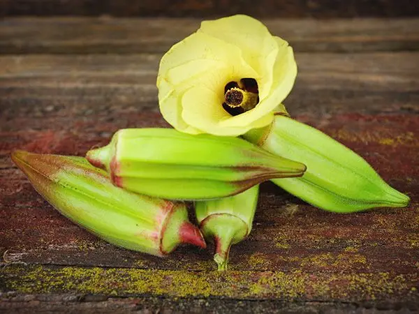 Okra, Alabama Red