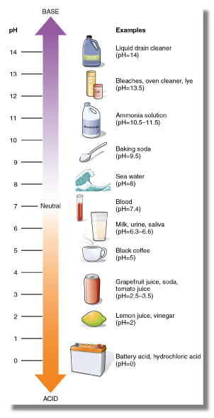 pH Scale Examples