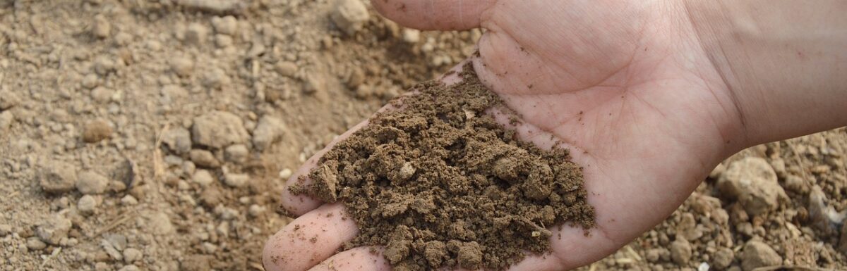 Soil