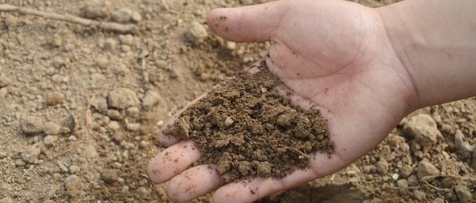 Soil