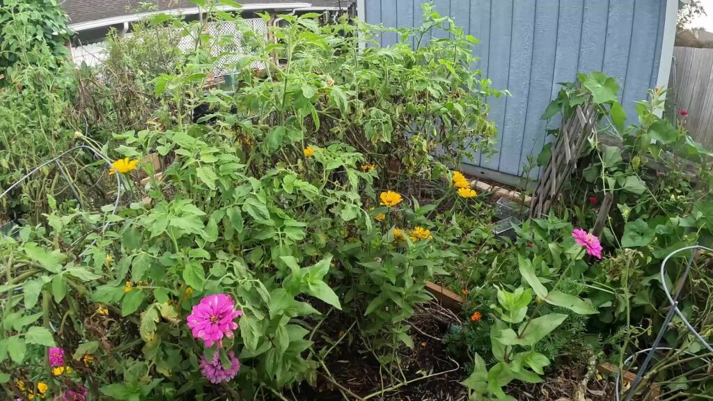 Flowers Attracting Pollinators