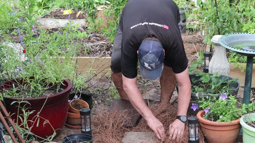 Placing Pine Straw in Walkways