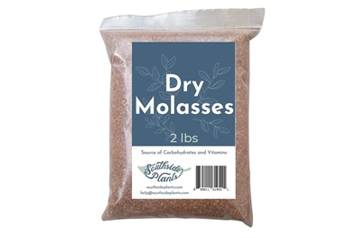 Molasses, Dry