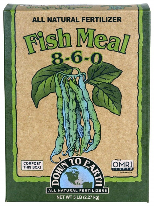 Fish Meal