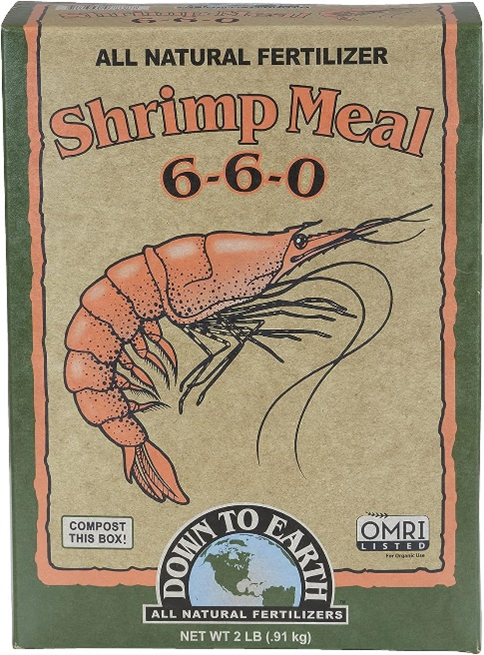 Shrimp Meal