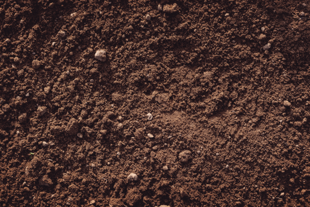 Soil - Loam