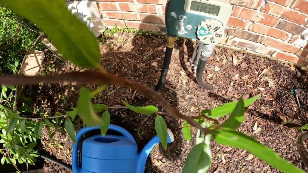 DIY Watering System on South Side of House