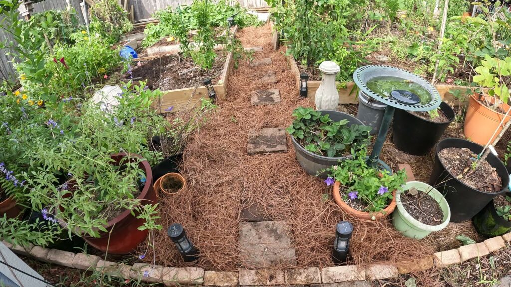 Pine Straw to Mulch Walkways