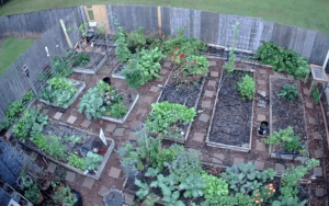 Overhead Drone Shot of Backyard Raised Bed Garden